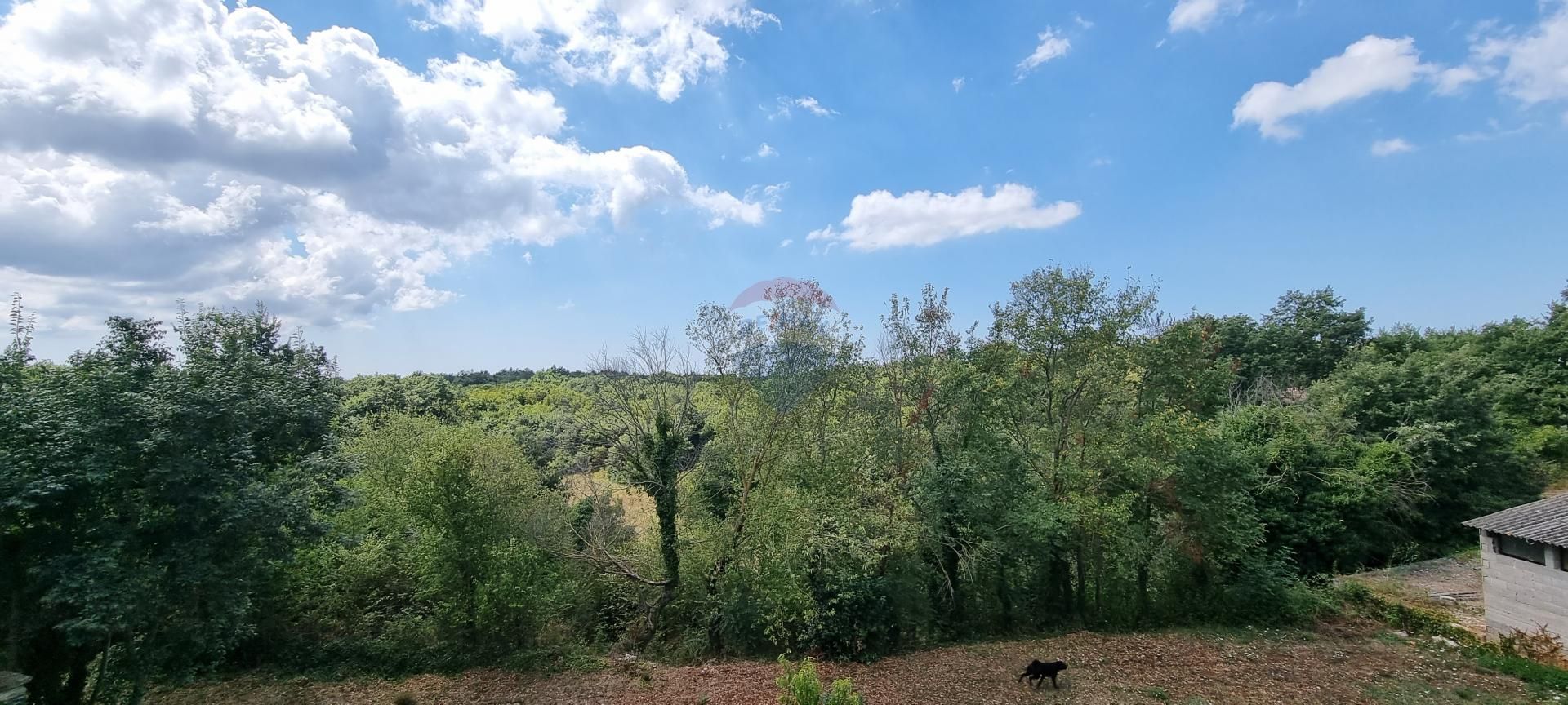Fotografija