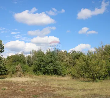 Lovreč: Veliko poljoprivredno zemljište u raskošnom zelenilu - cover