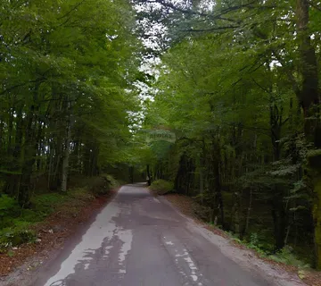 Ogulin - parcele u šumi (više od 2 hektara) - cover