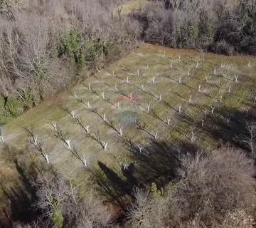 Istar, Višnjan-Građevinsko i poljoprivredno zemljište  - cover