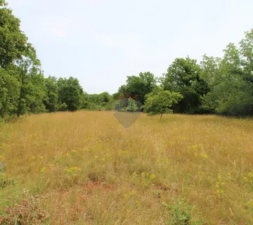 Istra, Grožnjan okolica, lijepa građevinska parcela - cover