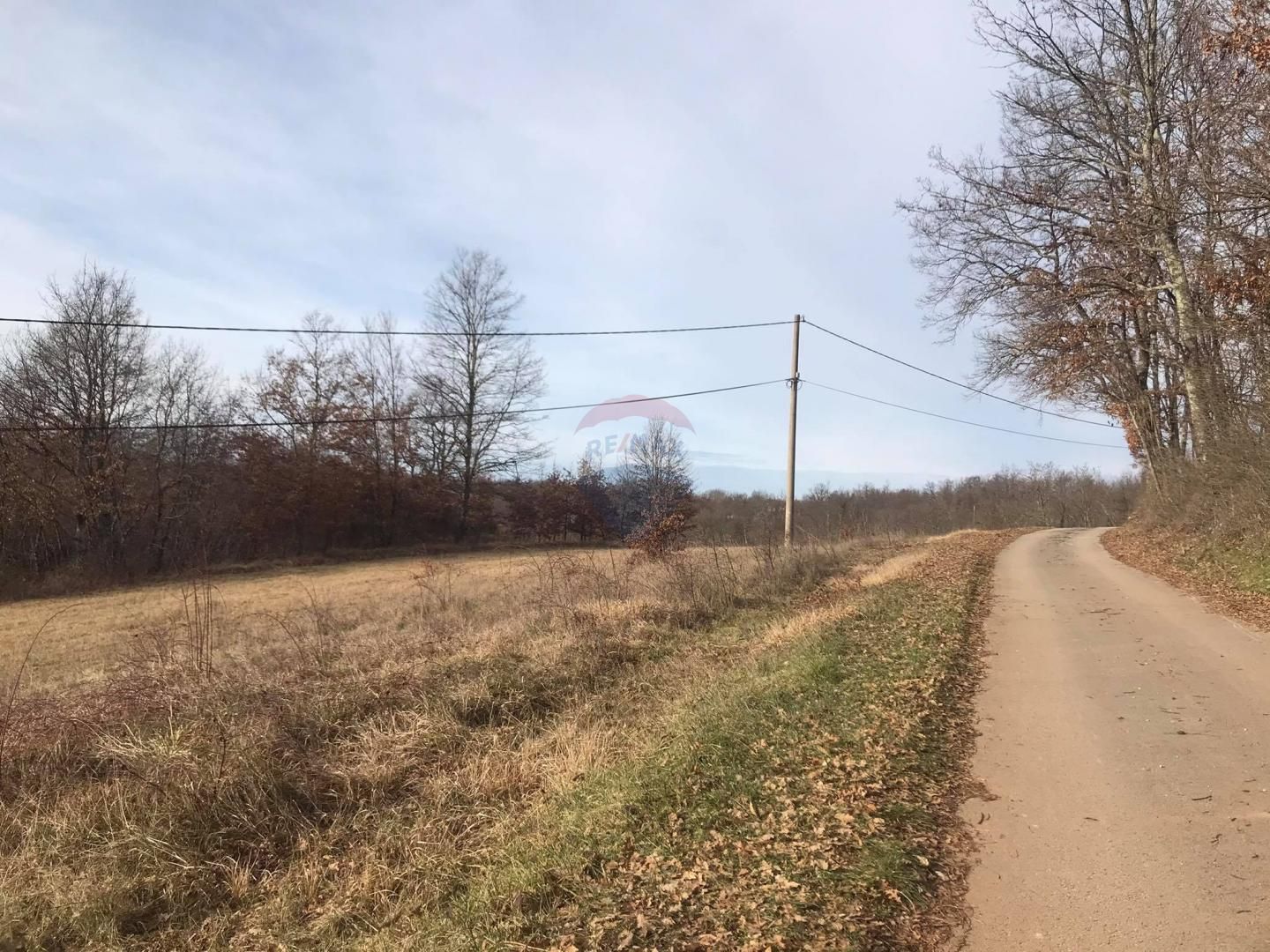 Fotografija
