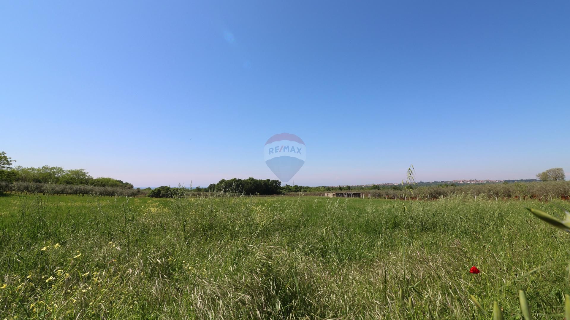 Fotografija