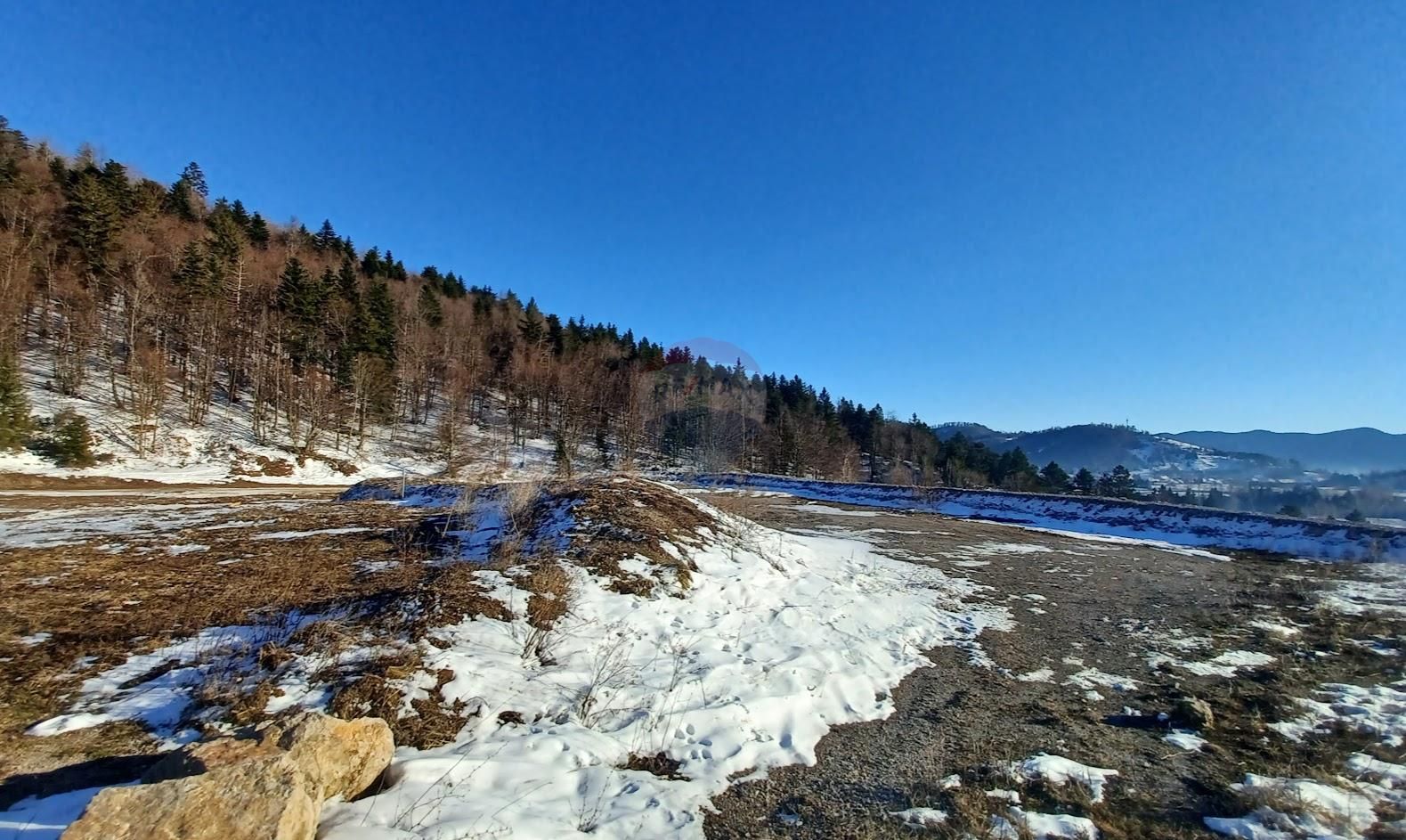 Fotografija