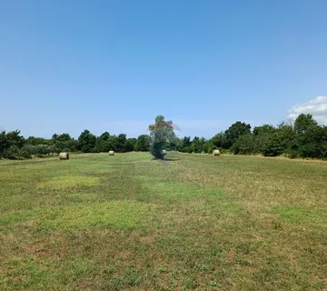 Istra, Juršići, Svetvičenat - cover