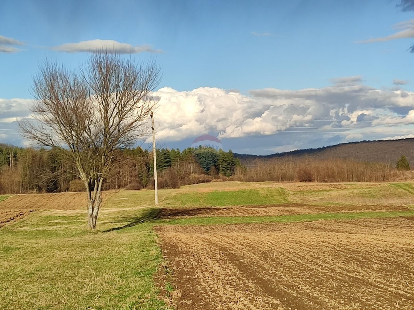 Fotografija