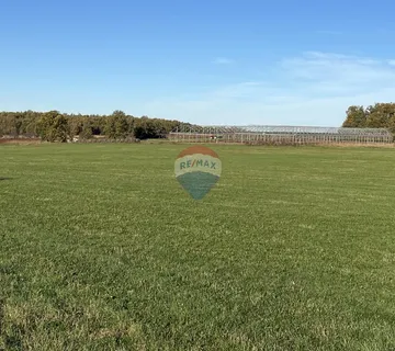 Kaštelir, okolica - poljoprivredno zemljište veličine 32000 m2 - cover