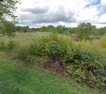 Istra, Tinjan, poljoprivredno zemljište uz cestu - cover