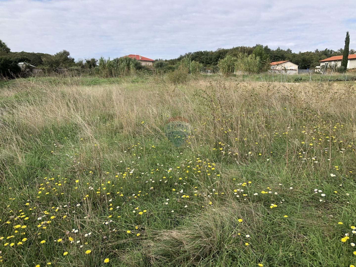 Fotografija