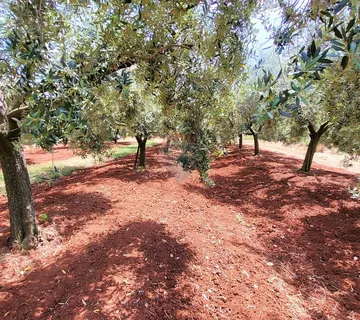 Istra, Novigrad, građevinsko zemljište - cover