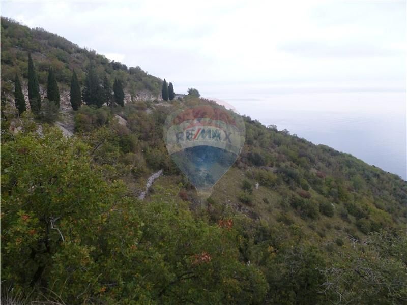 Fotografija