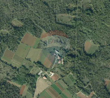 Višnjan, okolica -negrađevinsko zemljište 8130 m2 - vinograd - cover