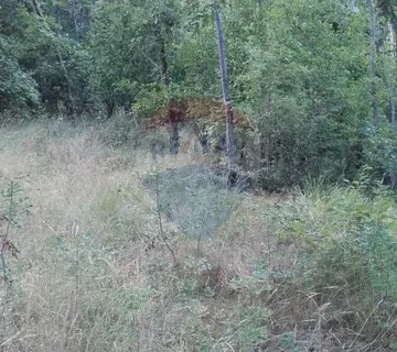 Dobreč - Šuma od 7.226m2 sa građevinskom česticom od 41m2 - cover