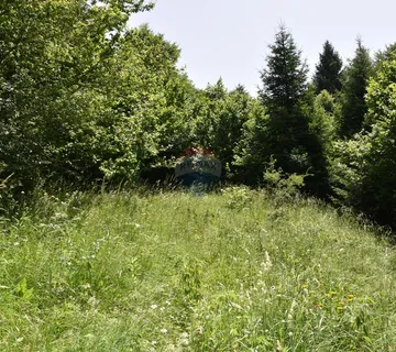 Moravice - Teren (17.500 m2) - cover