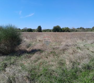 Istra,Marčana,građevinski teren sa mogućnošću parcelacije - cover