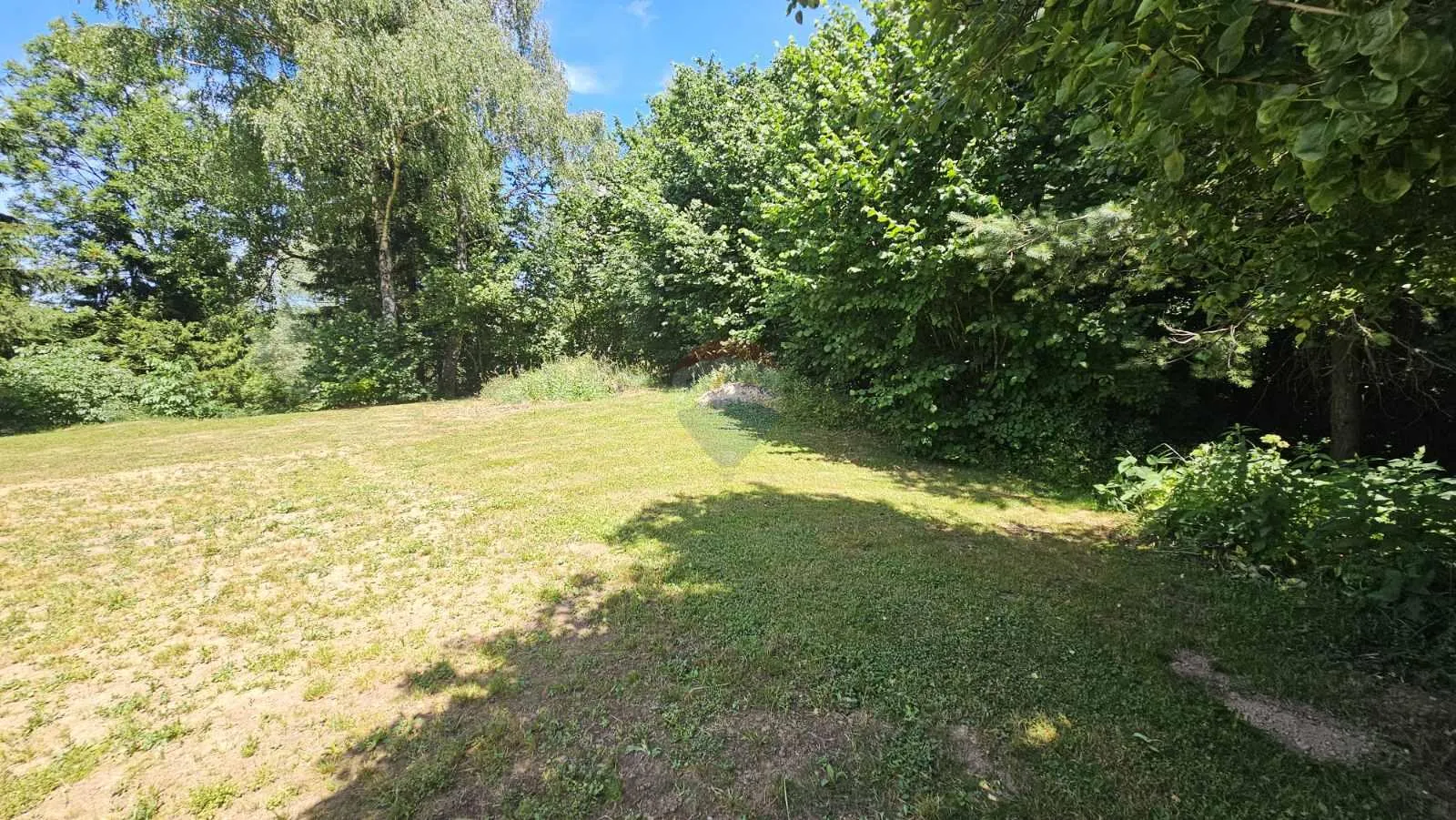 Fotografija