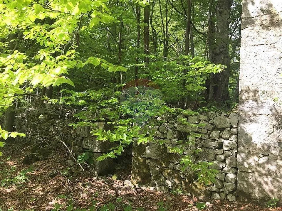 MAŠEVO, BRIBIRSKA ŠUMA - cover