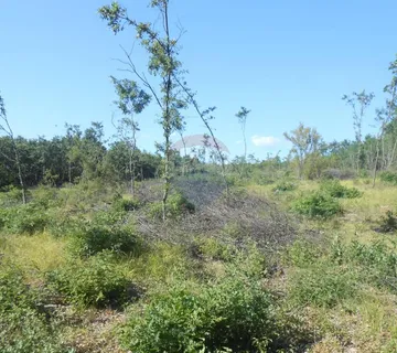 Istra, Vodnjan, Majmajola, šuma na prodaju - cover