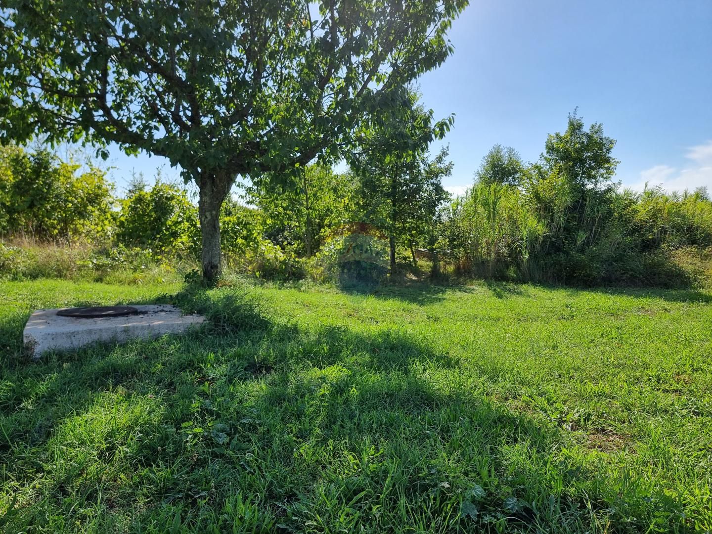 Fotografija