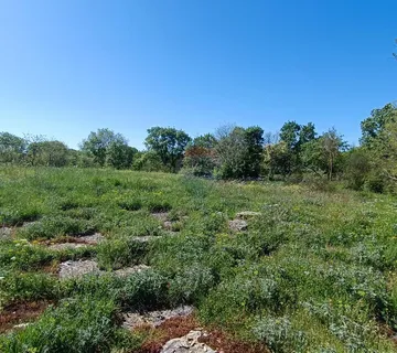 Istra, Bale- okolica - građevinsko zemljište  - cover
