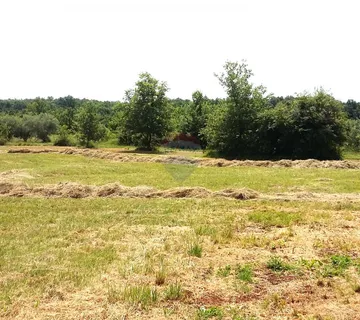 Umag - rubni građevinski teren, 2 km od mora - cover