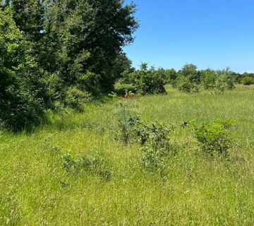 Gradina - okolica, poljoprivredno zemljište ukupne kvadrature 18 670m2 - cover