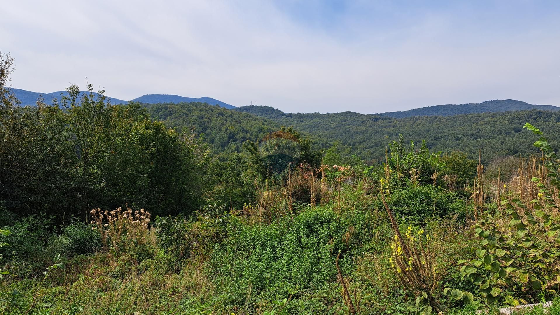 Fotografija
