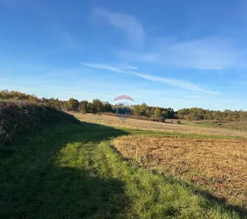 Poreč, okolica, poljoprivredno zemljište veličine 1632 m2 - cover