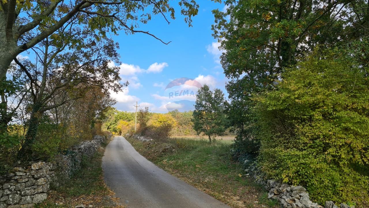 Fotografija