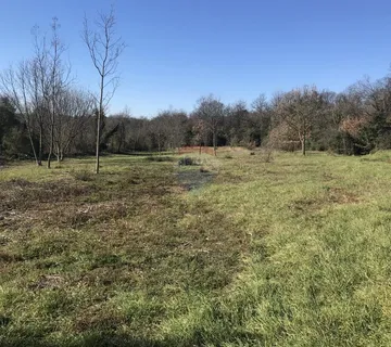 Istra,Pavićini,poljoprivredna zemljišta - cover