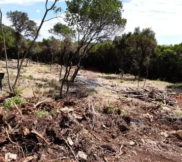 Rovinj,građevinska parcela u zoni Calchera 4760m2 - cover