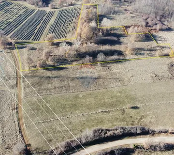 ISTRA, NEDEŠĆINA - Poljoprivredno zemljište 9824 m2 - cover