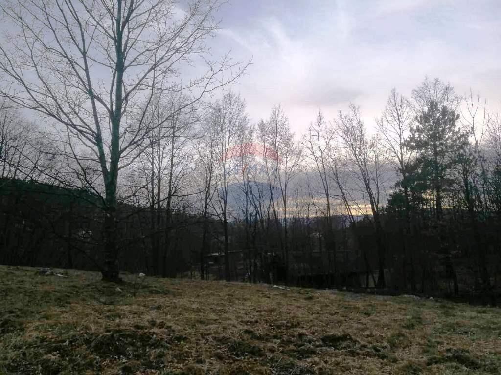 Fotografija