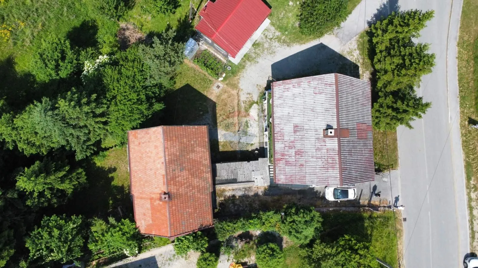 Fotografija