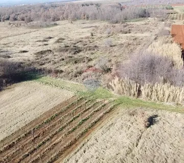 Istra, Kaštelir - Poljoprivredno zemljište u Kašteliru - cover