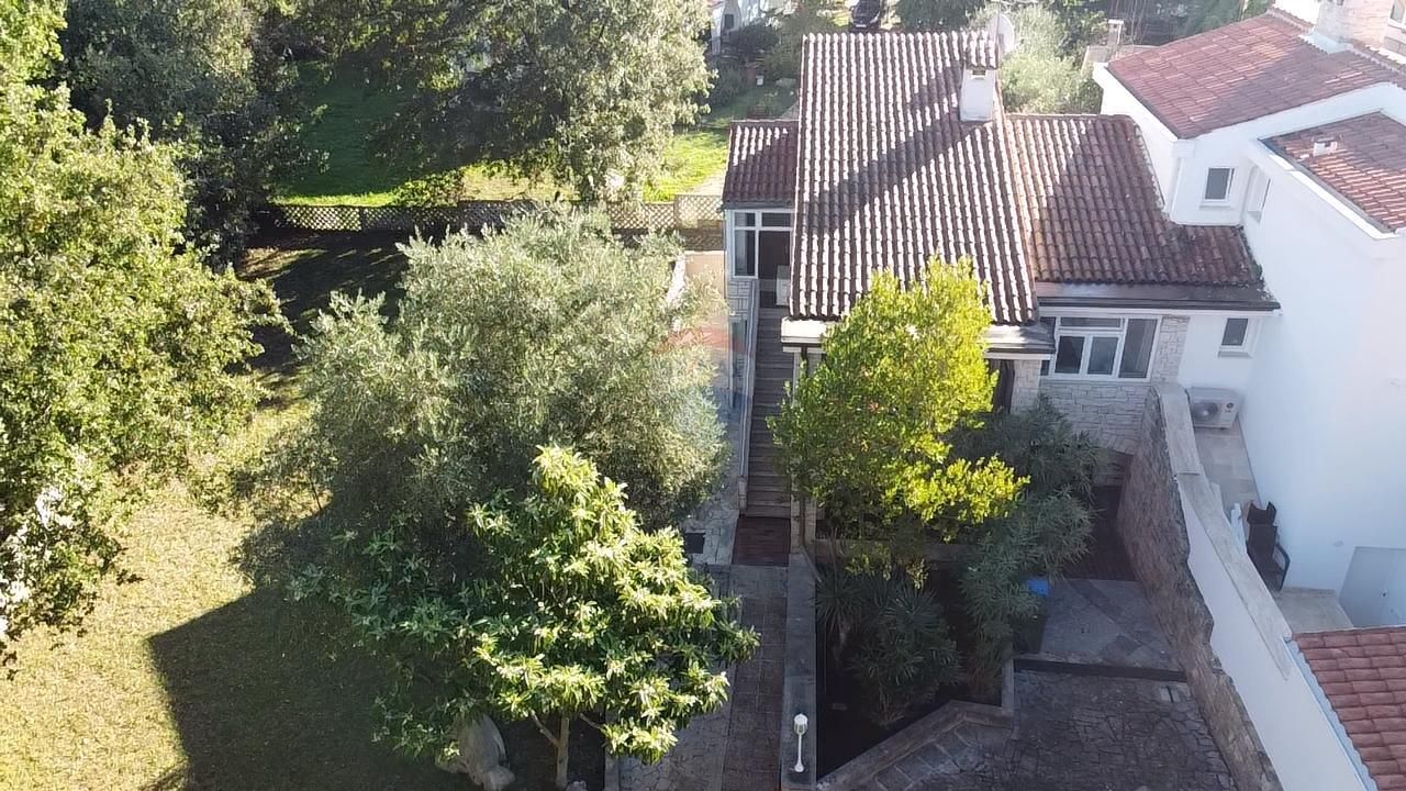 Fotografija