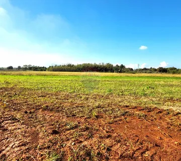 Istra, Umag okolica, negrađevinsko zemljište - cover