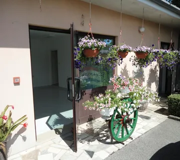 Viškovo - poslovni prostor u centru - cover