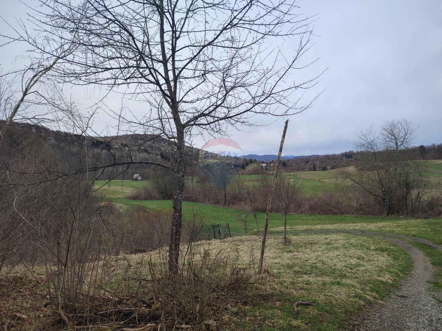 Fotografija