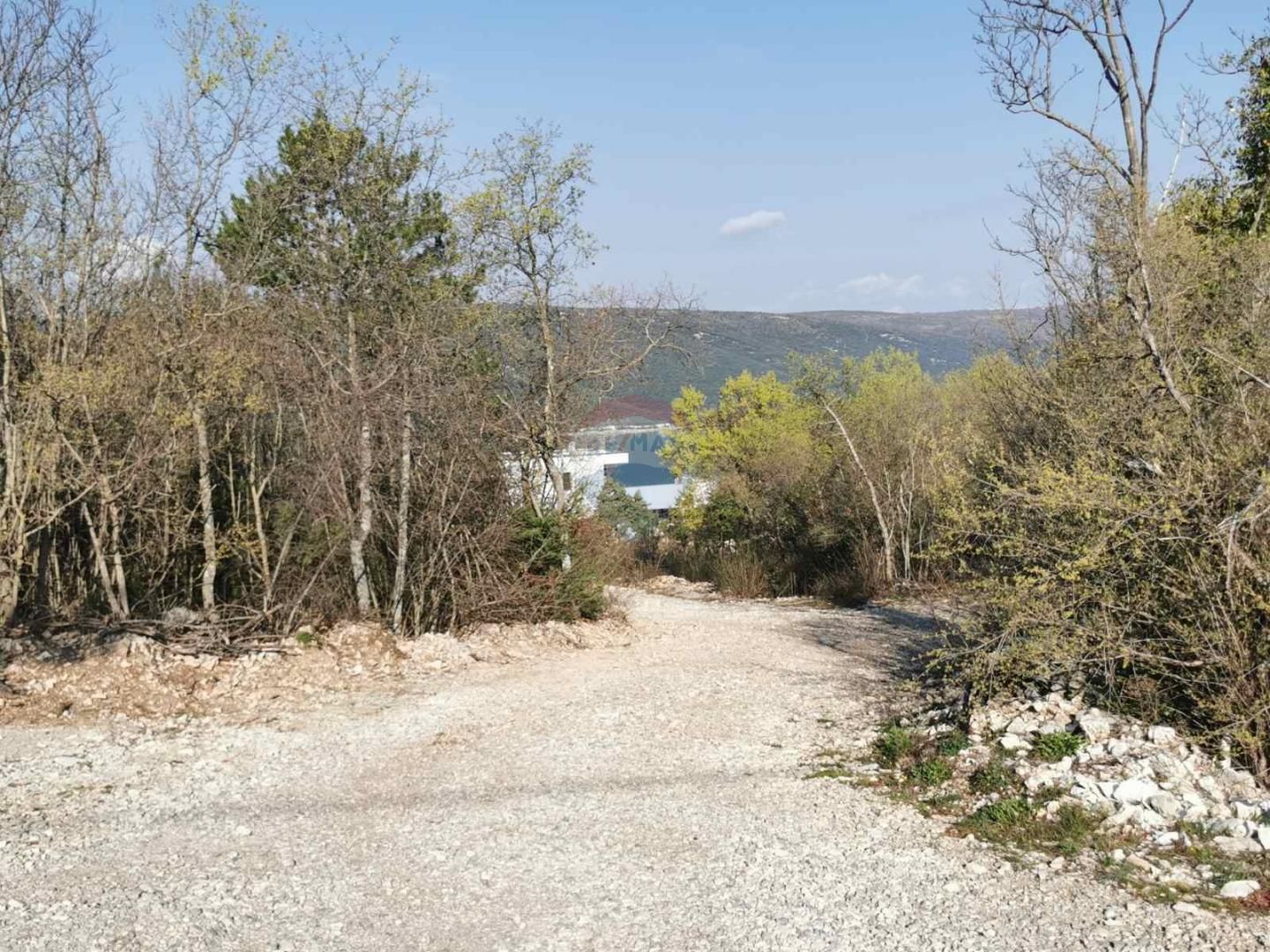Fotografija