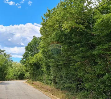Marasi okolica: Šuma 12.750 m2 u blizini naselja uz cestu - cover