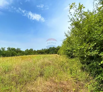 Istra,Lovrečica- Poljoprivredno zemljište  - cover