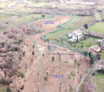 ISTRA, RAKALJ - Građ. zemljište 2405 m2 + Polj. 7540 m2 u cjelini, pogled more - cover