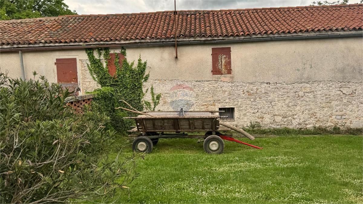 Fotografija
