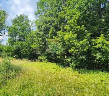 Gorski kotar, Kupjak - građevinski teren sa dvorišnom zgradom 1426 m2 - cover