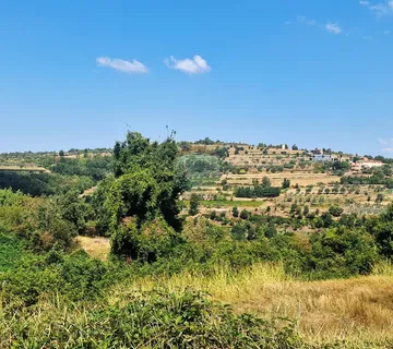 Istra,Momjan-Građevinsko zemljište s ruševinom - cover