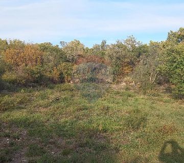Istra, Fažana okolica, maslinik i parcela - cover