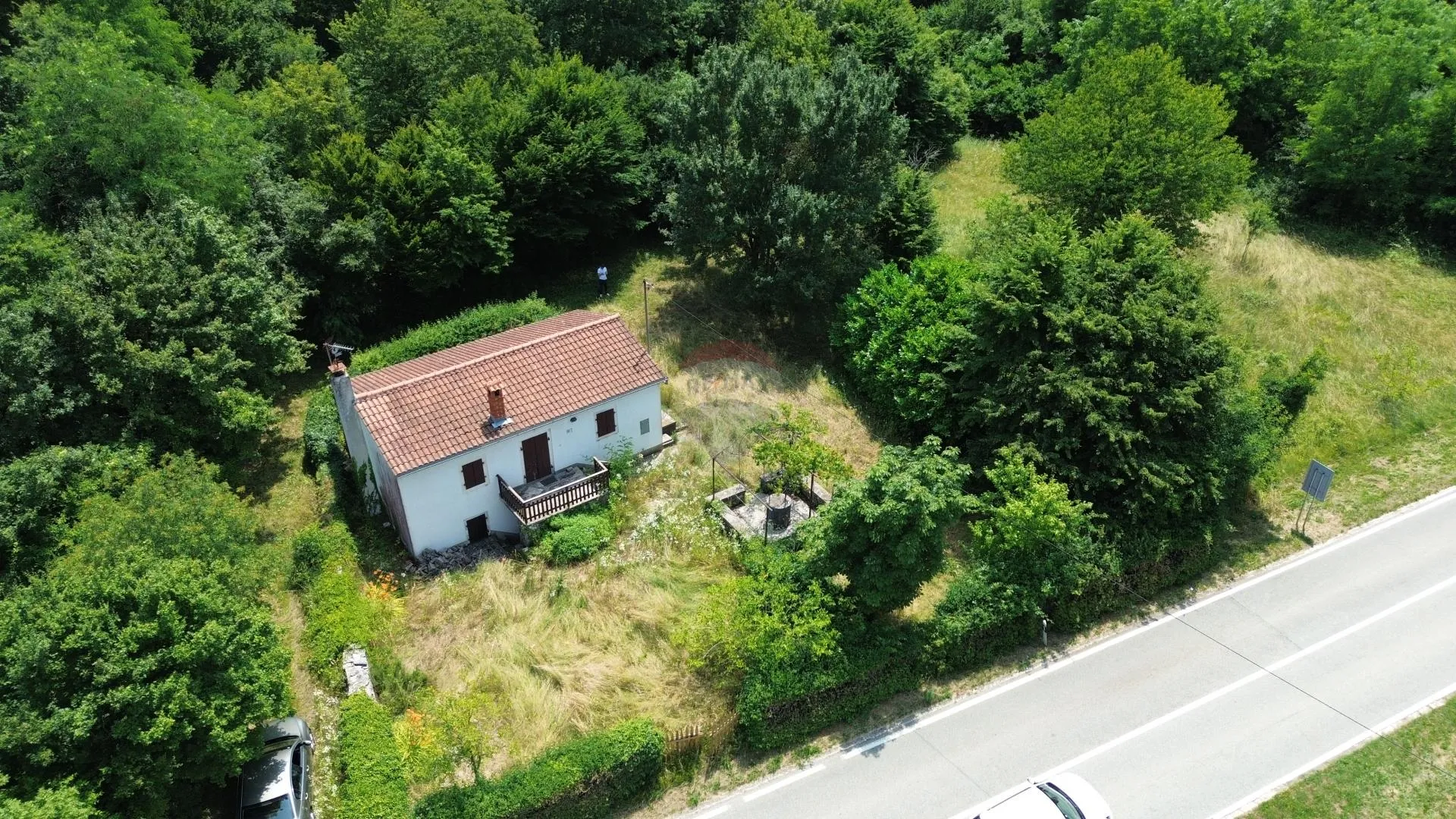 Fotografija