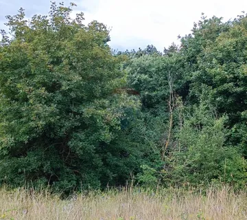 Istra, Žminj, Građevinsko zemljište na lijepoj lokaciji, površine 1953 m2 - cover