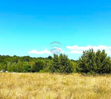 Poljoprivredna parcela,Novigrad - cover